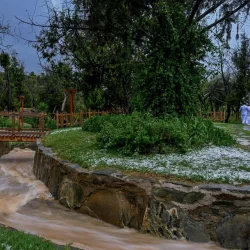 الجامعة العربية تدعو إلى توفير الحماية اللازمة للصحفيين في مواقع النزاعات