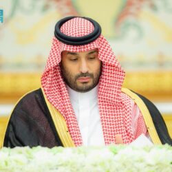 مجلس الوزراء : الدولة تتحمل الضرائب والرسوم الجمركية على إرساليات المواشي الحيّة لنهاية الحج