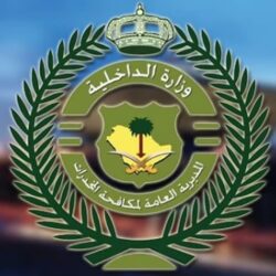 كانيلو ألفاريز يفوز ببطولة العالم بلا منازع للوزن المتوسط الفائق ضمن فعاليات موسم الرياض