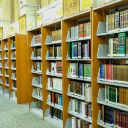 حرس الحدود بمنطقة جازان يحبط تهريب (525) كلجم من نبات القات المخدر