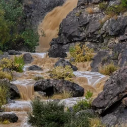 محافظ الطائف يدشن مبادرة التغذية الفكرية والصحية لحماية الطفل