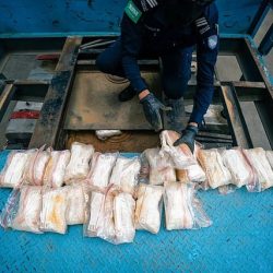 وكيل الرئاسة العامة لهيئة الأمر بالمعروف: مشاركة الرئاسة العامة تأتي ضمن جهود المملكة في تسخير جميع الإمكانات لخدمة الحرمين الشريفين وقاصديهما