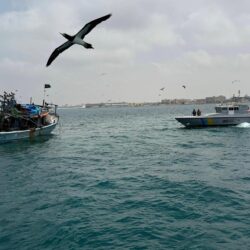 جامعة جدة تُعلن فتح باب القبول للطلاب الدوليين عبر منصة “ادرس في السعودية”