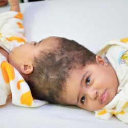 “هيئة الأمن الغذائي” تطرح المناقصة الثالثة لهذا العام لاستيراد 655 ألف طن قمحٍ