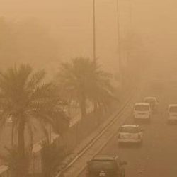 استشهاد 22 فلسطينيًا في قصف الاحتلال الإسرائيلي على قطاع غزة