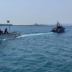 “الشؤون الإسلامية” بالباحة تنفذ أكثر من 12 ألف جولة رقابية خلال شهر ذي الحجة