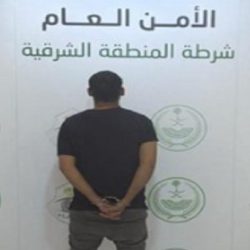 إضافة خدمة الشحن “warm” التابعة لشركة “sealead” إلى ميناء جدة الإسلامي