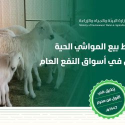 حرس الحدود بمنطقة مكة المكرمة ينقذ مواطنًا ومقيمين من الجنسية البنجلاديشية تعطلت واسطتهم البحرية في عرض البحر