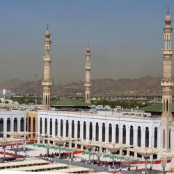 ضيوف برنامج خادم الحرمين الشريفين للحج يستقرون في مشعر عرفات وسط أجواء إيمانية وخدمات متكاملة