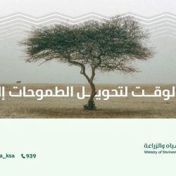 بطولة الكأس الذهبية 2025.. المنتخب السعودي يستأنف تدريباته استعدادًا لمواجهة نظيره الأمريكي