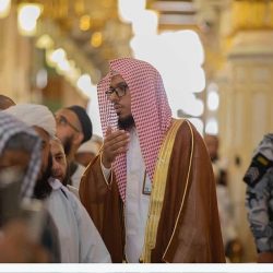 جامعة طيبة تعلن إطلاق 8 تخصصات جديدة ضمن برامج القبول للعام الجامعي 1447هـ