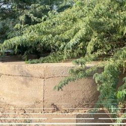 وزارة الشؤون الإسلامية تدشن مكتبة الأمير نايف بن عبدالعزيز في المعهد الإسلامي بداكار