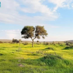 3 ألعاب تسجّل ظهورها الأول في النسخة الثانية من كأس العالم للرياضات الإلكترونية 2025