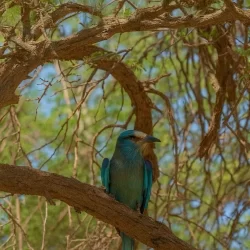 نائب أمير منطقة مكة المكرمة يستقبل قائد القوات الخاصة لأمن الحج والعمرة