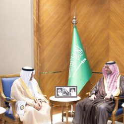 وزيرا خارجية مصر والعراق يبحثان مستجدات الأوضاع الإقليمية