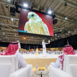 النفط يرتفع مع استمرار محادثات السلام الأوكرانية وقتًا أطول