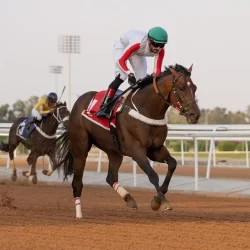 50 خريطة توثق تاريخ وجغرافية محافظة ميسان