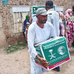 الخارجية تعرب عن دعم المملكة لجميع الجهود الدبلوماسية الرامية إلى حل الأزمة (الروسية – الأوكرانية) بالطرق السلمية والوصول إلى السلام بين البلدين الصديقين