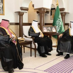 وزارة الصناعة والثروة المعدنية تصدر أكثر من 234 ألف “شهادة منشأ” خلال النصف الأول من 2025