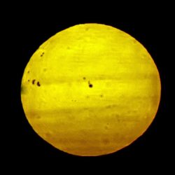 مساعد وزير الإعلام يُشارك في “مؤتمر مسؤولية الجامعات في تعزيز القيم والوعي الفكري”