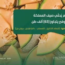 القلاع الحصينة وبيوت الطين العتيقة من شواهد الحضارة القديمة بمحافظة حبونا