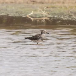 “تعليم الباحة” يُطلق حملة للتبرع بالدم بالتعاون مع تجمع الباحة الصحي