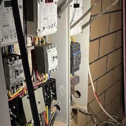 اكتمال وصول وحدات القوات المسلحة السعودية المشاركة في تمرين “النجم الساطع” في مصر