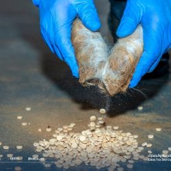 خطيب المسجد الحرام : “وتعاونوا على البر والتقوى” منهج شامل لسعادة العبد