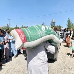 حرس الحدود بمنطقة جازان يقبض على مخالف لنظام أمن الحدود لتهريبه (34.6) كيلوجرامًا من مادة الحشيش المخدر