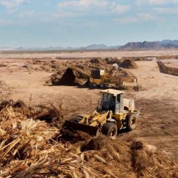 “هيئة الفروسية” و”نادي سباقات الخيل” يوقّعان اتفاقية مشاركة البيانات لتعزيز الجهود التنظيمية في قطاع الفروسية