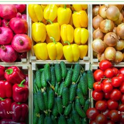 رابطةُ العالم الإسلامي تُدين اقتحام رئيس وزراء حكومة الاحتلال مستوطنةً على أرض فلسطينية محتلة