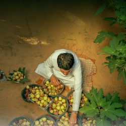 مؤشر سوق الأسهم السعودية يغلق منخفضًا عند مستوى (10808) نقاط