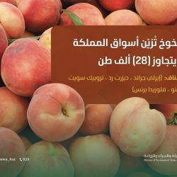 مفتي عام المملكة يستقبل رئيس مجلس إدارة جمعية الصاعقة للبحث والإنقاذ وإدارة الأزمات والكوارث