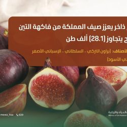 في كلمة بمناسبة بدء العام الدراسي الجديد.. مفتي عام المملكة يؤكد المكانة السامية للعلم في الإسلام