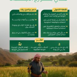 جامعة أم القرى تشكل مجلسها الاستشاري الدولي بمشاركة 12 خبيرًا عالميًا