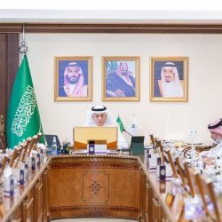 وصول 20 شاحنة إغاثية سعودية جديدة إلى محافظة السويداء لمساعدة الشعب السوري