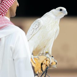 انطلاق البطولة العربية لألعاب القوى للناشئين والناشئات بتونس