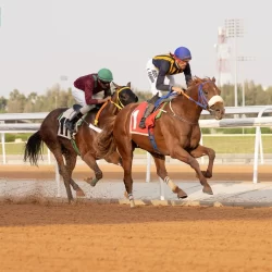 المملكة تنظم اجتماعًا افتراضيًّا لقادة المسح الجيولوجي العالمي