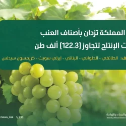 ضبط (22147) مخالفًا لأنظمة الإقامة والعمل وأمن الحدود في مناطق المملكة خلال أسبوع