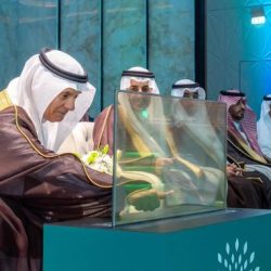 البيان المشترك لوزراء خارجية المملكة العربية السعودية والأردن والإمارات وإندونيسيا وباكستان وتركيا وقطر ومصر