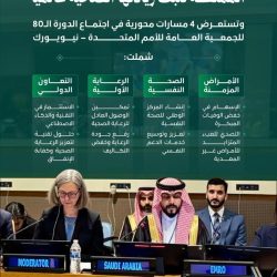 شباب الأهلي يهزم الاتحاد 1-0 في دوري أبطال آسيا