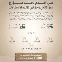 الدفاع المدني: هطول أمطار رعدية على بعض مناطق المملكة حتى يوم الأحد المقبل