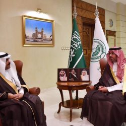 خبراء في GSR25: المملكة شريك محوري في تعزيز الدبلوماسية الرقمية ومركزية البيانات للتنمية