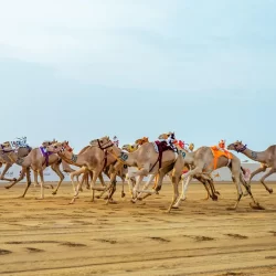 “الغذاء والدواء” تختتم برنامج “واعدون” لتطوير الكوادر البشرية
