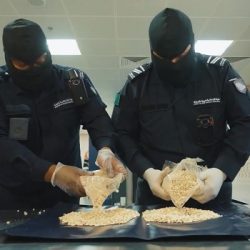 وصول الطائرة الإغاثية السعودية الـ(63) لإغاثة الشعب الفلسطيني في قطاع غزة