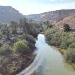 الأرصاد: هطول أمطار رعدية متوسطة مصحوبة بزخات من البرد على هذه المناطق