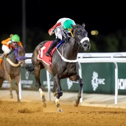 “التدريب التقني” يعتمد أكثر من 500 شهادة احترافية عبر بوابتها الإلكترونية