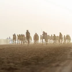 بحضور أكثر من 6500 مشارك وزائر محلي ودولي الاتحاد الدولي للاتصالات يعلن مخرجات الرياض للتنظيم المبتكر في ختام أعمال الندوة العالمية لمنظمي الاتصالات (GSR25)