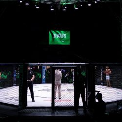 مؤشر سوق الأسهم السعودية يغلق منخفضًا عند مستوى (11229) نقطة