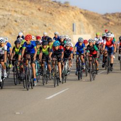 “البيئة” تطرح 4 فرص استثمارية لدعم قطاع الثروة الحيوانية وتعزيز إنتاج اللحوم الحمراء بالرياض